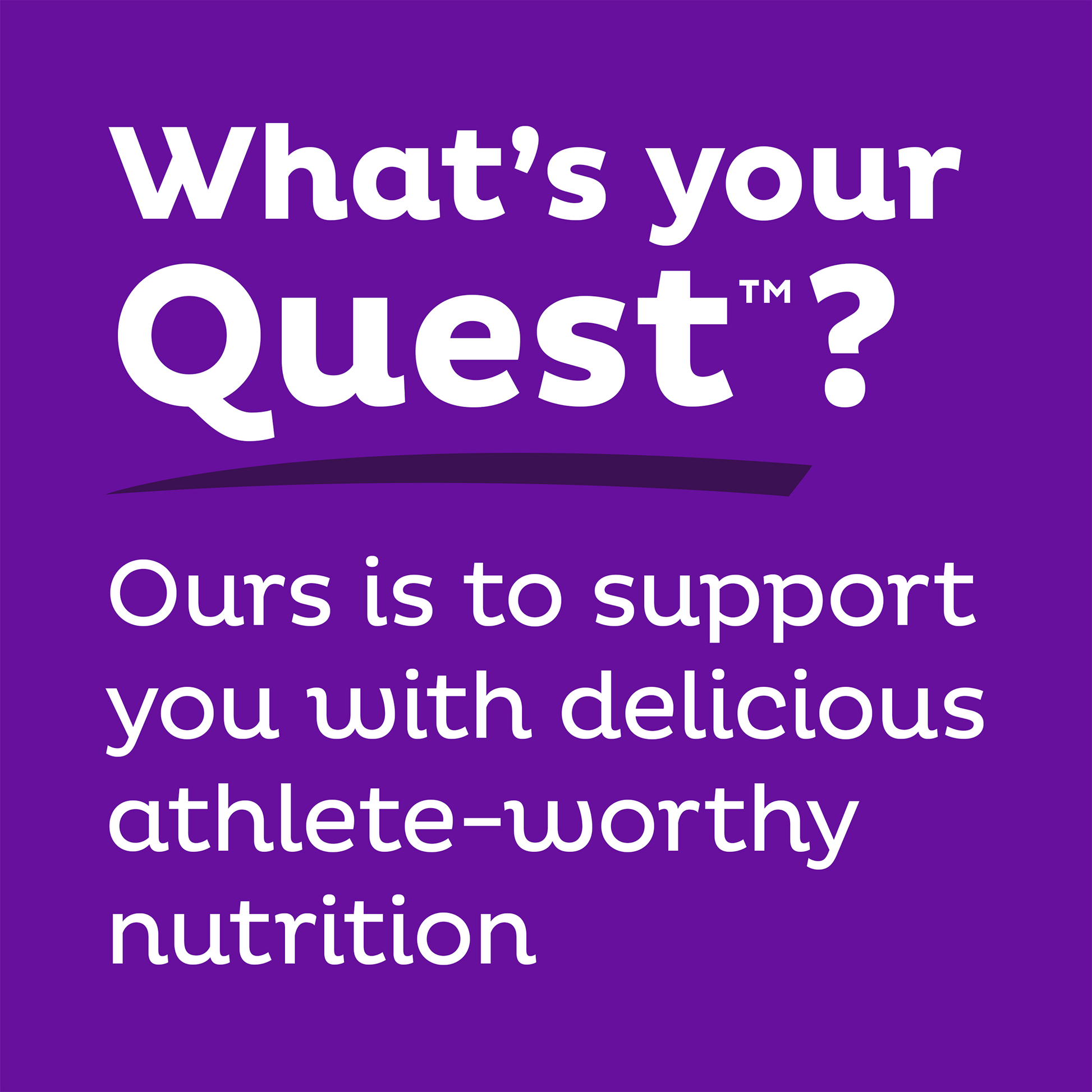 double-chocolate-chunk-protein-bars-g8 qst-000241_double-chocolate-chunk-protein-bars_9.png